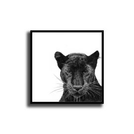 Abi Overland Jersey - Peering Panther - Fine Art Print Small