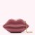 Antique Rose Lips Clutch Bag