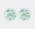 Aquazzura Casa Tableware – ‘Secret Garden’ dinner plate, set of two in green PORCELAIN